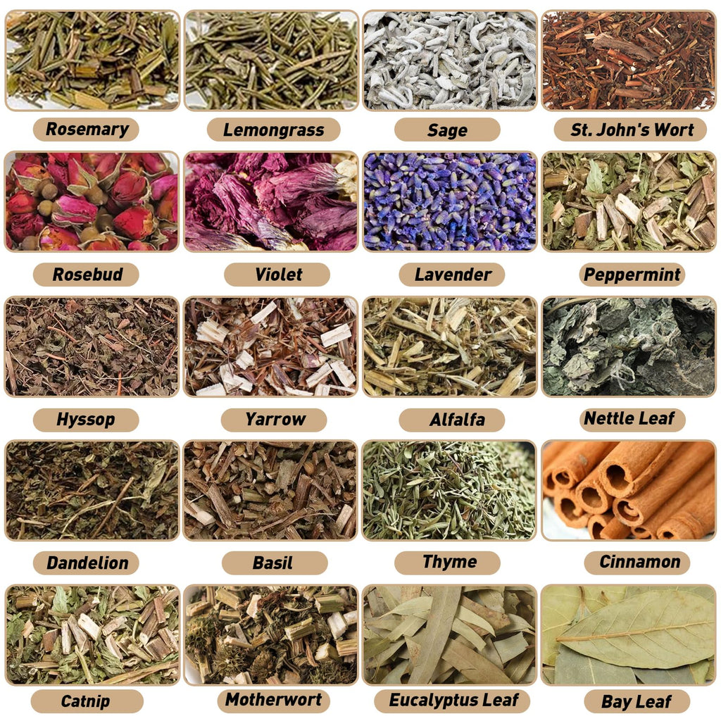 40 Pack Witchcraft Supplies Herbs Kit - Dried Herbs and Flowers for Witch Beginners - Herb Set for Wicca, Altar Supplies, Pagan and Wiccan Rituals, Magic Spell, Candle and Soap Making - Velora