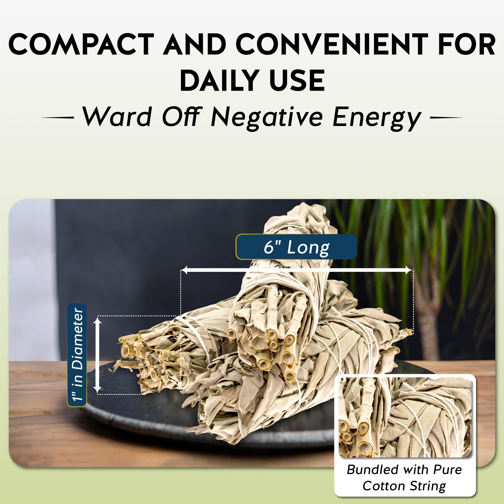 Alternative Imagination White Sage Smudge Stick Set – 3-Pack of 4-Inch Bundles for Home Cleansing, Meditation Rituals, Energy Clearing, Witchcraft Tools, Spiritual Gifts, Yoga, Altar, and Smudging