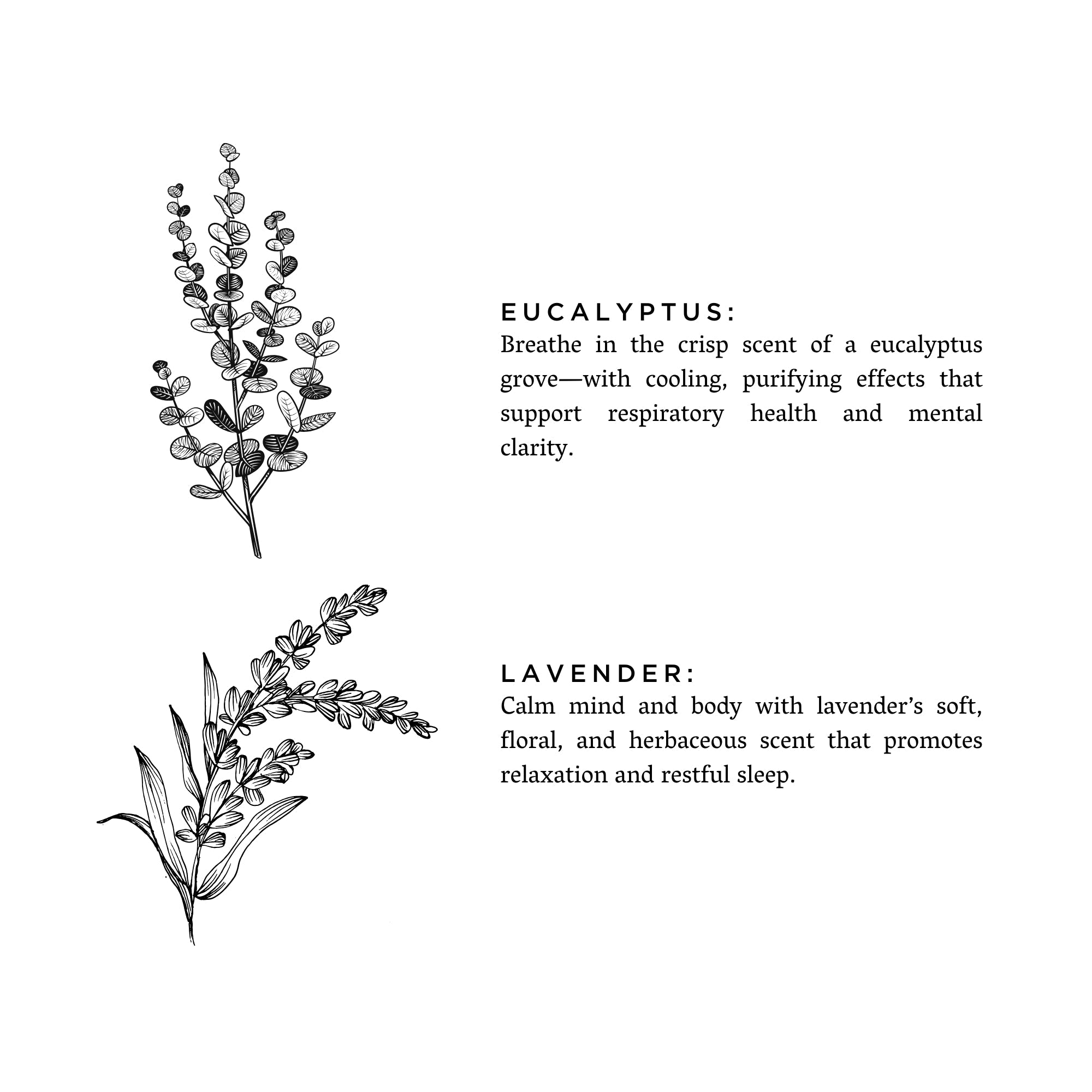Mini Linen Spray - Eucalyptus + Lavender