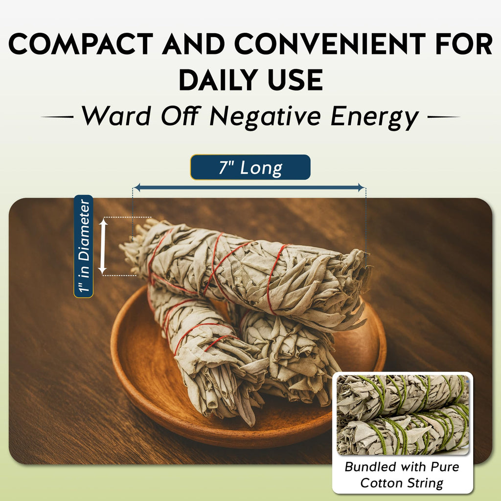 Alternative Imagination White Sage Smudge Stick Set – 3-Pack of 4-Inch Bundles for Home Cleansing, Meditation Rituals, Energy Clearing, Witchcraft Tools, Spiritual Gifts, Yoga, Altar, and Smudging - Velora