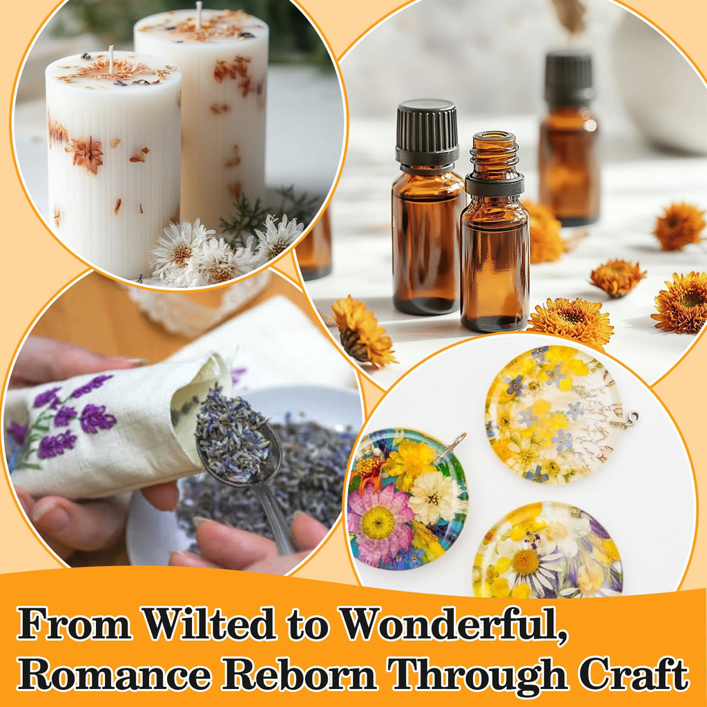 Sukh Dried Herbs Kit - Dried Botanicals Bulk,14 Bags Natural Dry Flowers and Herbs for Soap,Candle,Perfume,Bath Bombs,Resin Jewelry Making Supplies,Fragrance Sachet DIY and Witchcraft - Velora