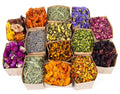 Sukh Dried Herbs Kit - Dried Botanicals Bulk,14 Bags Natural Dry Flowers and Herbs for Soap,Candle,Perfume,Bath Bombs,Resin Jewelry Making Supplies,Fragrance Sachet DIY and Witchcraft - Velora